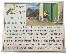 AFFICHE Scolaire PÉDAGOGIQUE