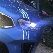 Griffes ✔ 30cm ✔