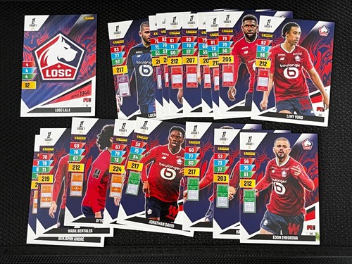 Lot cards cartes panini - cards,
