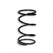 Ressort d embrayage Malossi