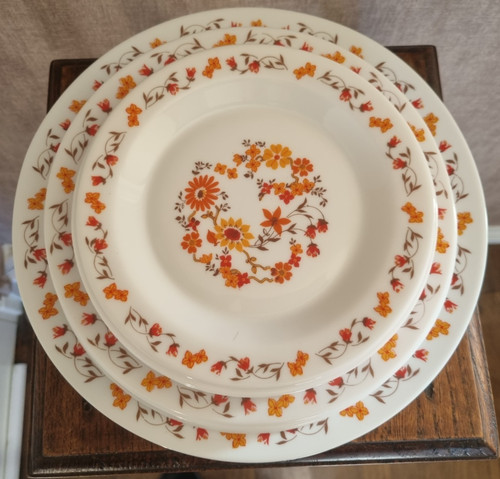 Lot arcopal france - arcopal,