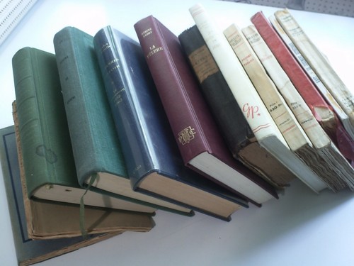 Lot livres divers relies - livres,