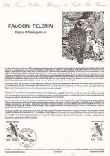 Document Philatélique 1er Jour : 33 1984 - Oiseaux Faucon Pélerin