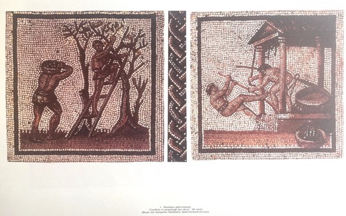 Illustration provence - illustration,