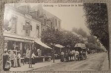 CPA CABOURG - TERRASSE DE LA MER A L'HEURE DU BAIN