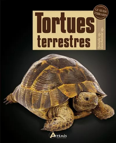 Tortues terrestres j pirog - e-j,