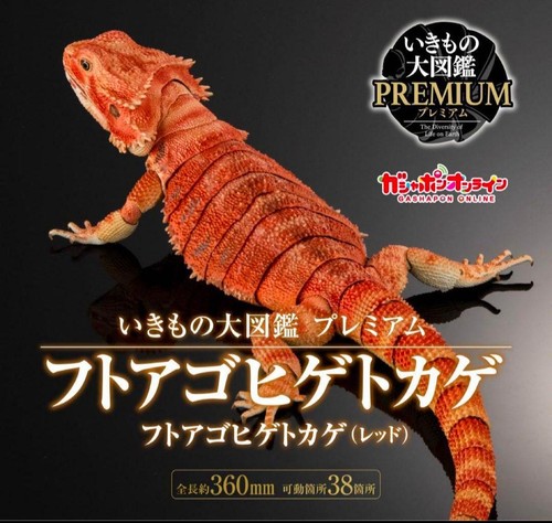 Figurine dragon barbu - dragon,