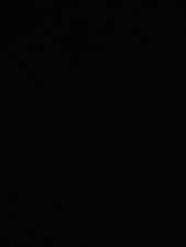 1/64 VW Volkswagen Beetle Cox