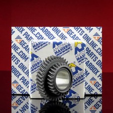 2. Pignon de Rapport pour