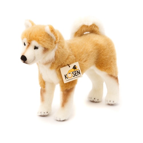Shiba inu par kosen - /, kösen