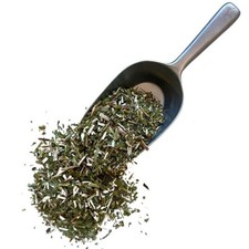 Tisane Verge d'or (Solidage) plante Solidago virga aurea