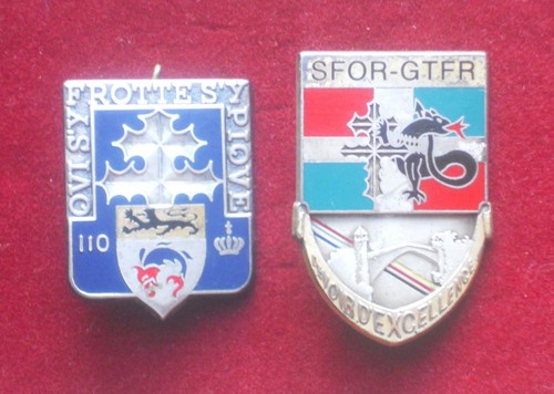 Insignes sfor gtfr 110ème - sfor,