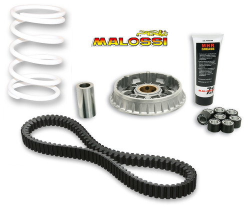 Pack racing malossi variateur - racing,