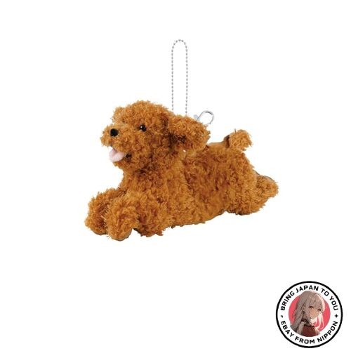 Pochette caniche neuve
