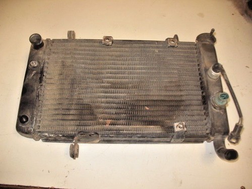 Suzuki kawasaki kfx - 06,