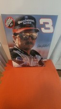 Dale Earnhardt 16" x 20"
