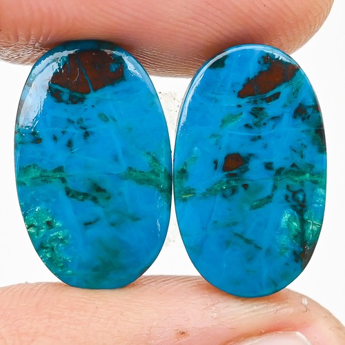 Paire cabochons shattuckite - paire,