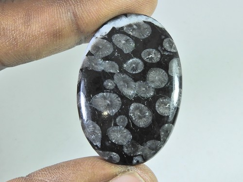55cts cabochon ovale - cabochon, corail