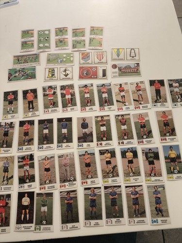 Lot figurine panini - ,