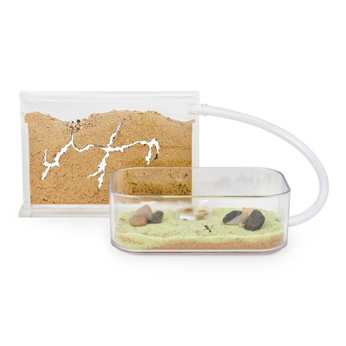 Fourmilière kit basic - fourmilière,