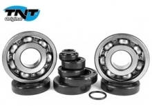 Kit roulements 6303 joints spy