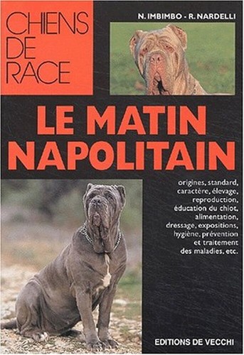 Mâtin napolitain n - napolitain,