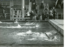 Piscine des Tourelles, jeux