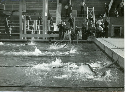 Piscine des tourelles jeux - piscine, tourelles,