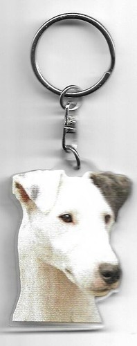 Fox terrier porte clés - clés, chien
