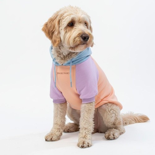 Pull capuche pour chien - pour,