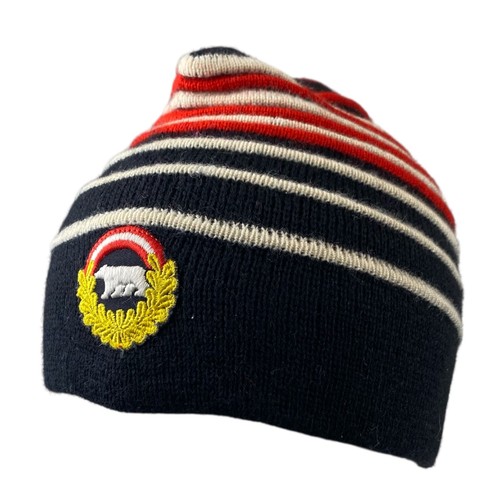 Chapeau ski polar bear - ski,