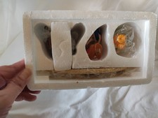 SCENE ASTERIX- AGECANONIX