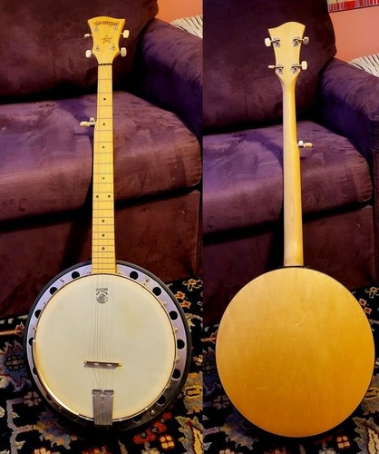 Deering goodtime string - deering, ii