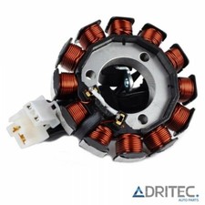 ✅ ALTERNATEUR STATOR pour