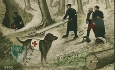 Carte postale ancienne fantaisie le chien sanitaire 1916 J K