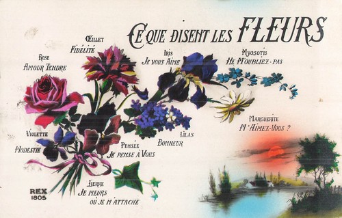 Que disent fleurs - cp,