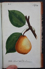 POMOLOGIE, FAUCILLE, LE