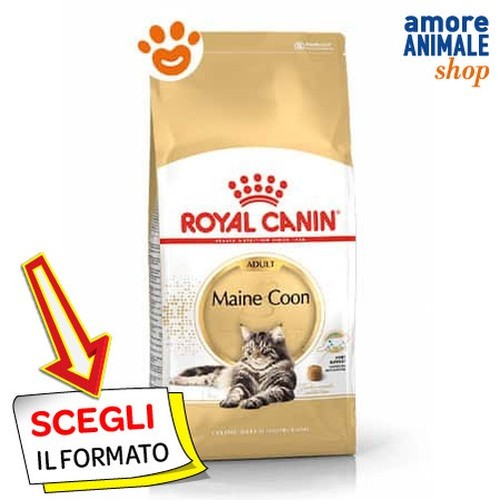 Royal Canin FBN Chat Maine