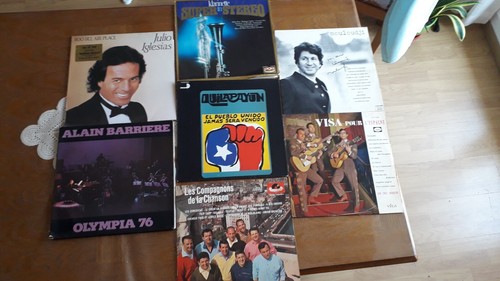 Disque vinyle 33t variétés - vinyle,
