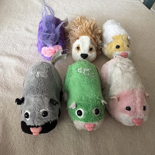 Zhu pets - zhu, (not