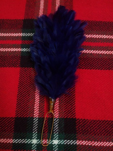 Plume panache glengarry - t,