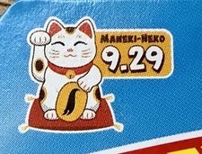 🎉 FELINE LUCKY. Hot Wheels