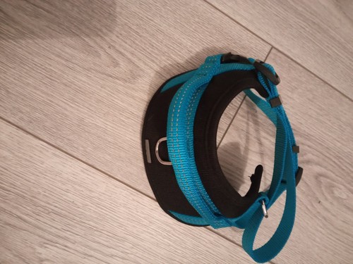 Harnais petit chien wouapy - harnais,