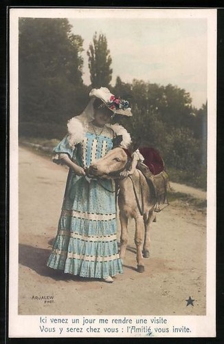 Dame âne avec - avec, selle,