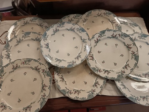 Assiettes terre fer - 12,
