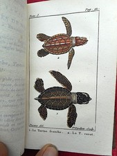 Histoire naturelle des