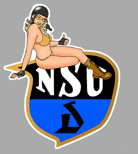 Nsu right pin - nsu, droite