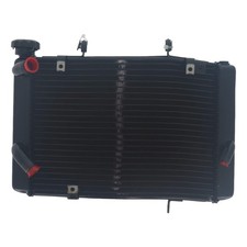 Radiateur (Triumph - Street