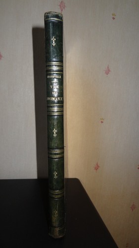 Scènes la vie - (grandville),