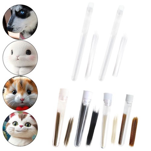 Barbes chat simulées - chat,